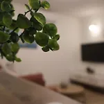 Avocado Dream *