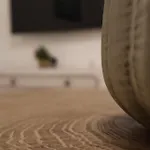 Avocado Dream *