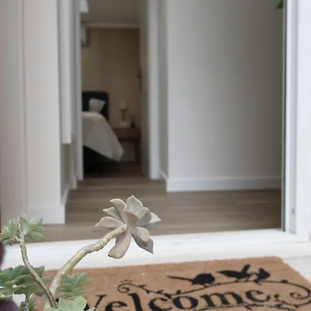 Avocado Dream Apartment Split