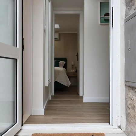 Apartment Avocado Dream