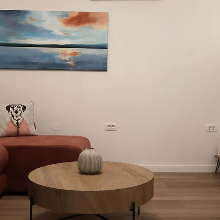 Avocado Dream * スプリト