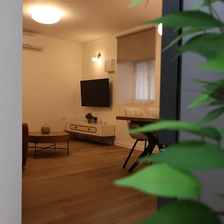 Apartment Avocado Dream