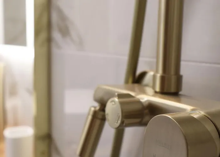 Avocado Dream ספליט