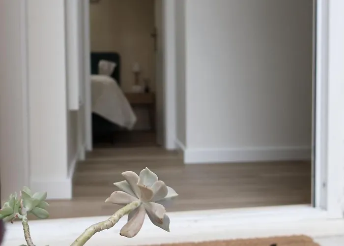 Avocado Dream Lejlighed Split