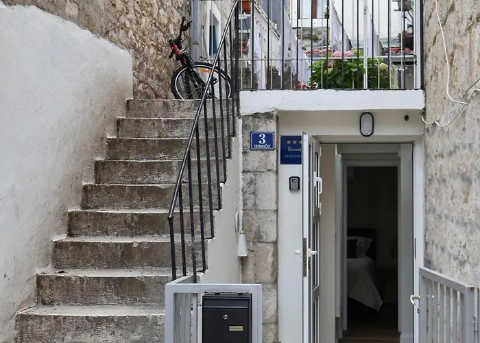 Avocado Dream * Split